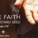 Have Faith as a mustard seed